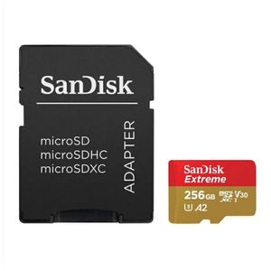 SanDisk microSDHC 256 GB UHS-I U3